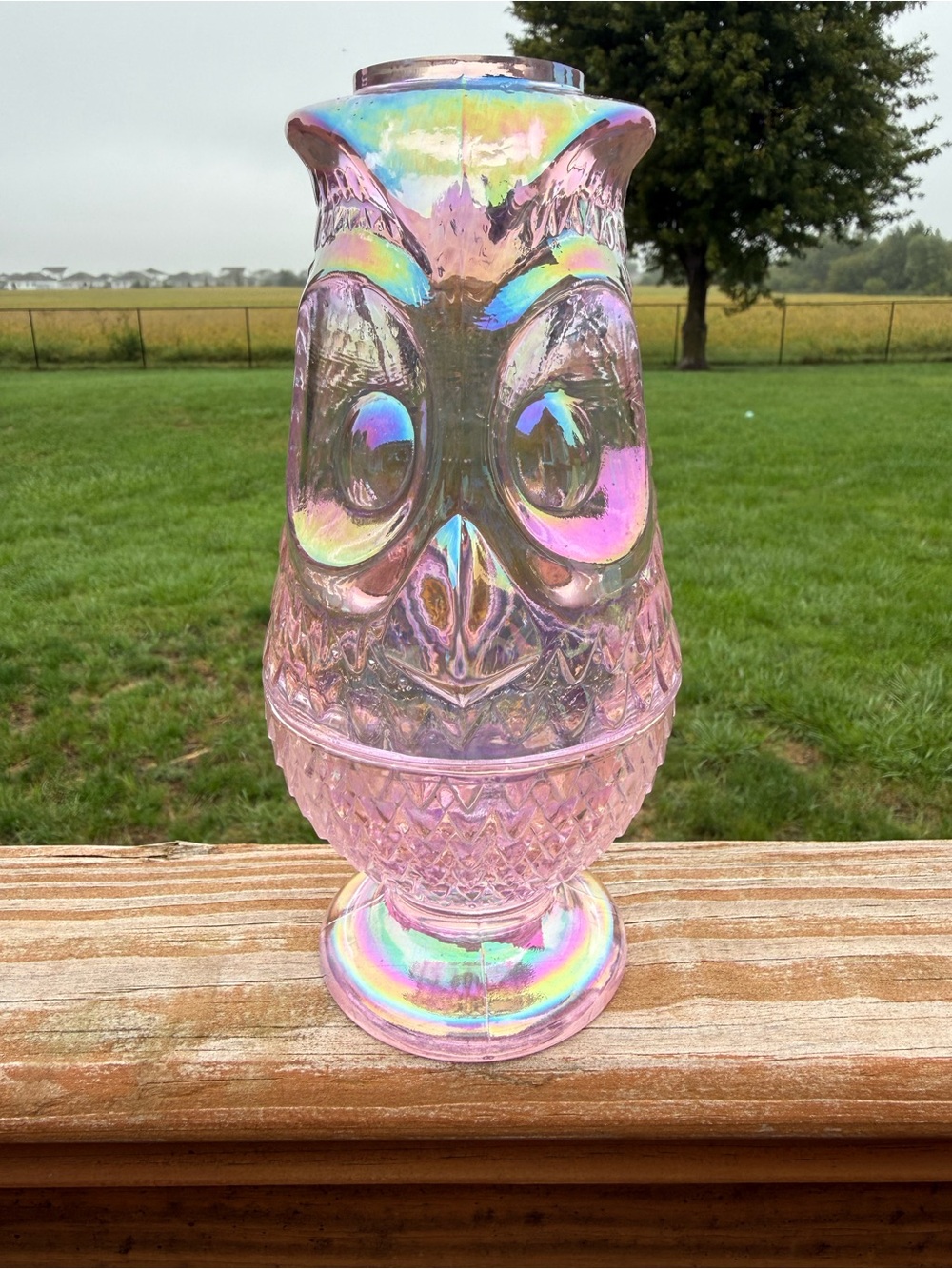 Mosser rose carnival owl fairy lamp